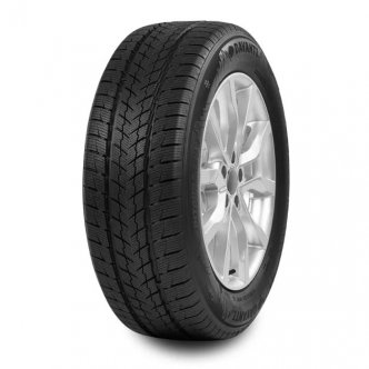 Davanti Wintoura SUV 255/50 R19